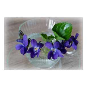 cup of violets poster