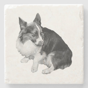 Cup Perch, Foxy Friend Stone Coaster