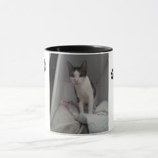 Cup pretty cat
