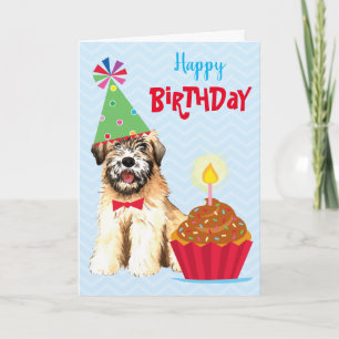 Cupcake Anniversaire Soft Coated Wheaten Carte Ter