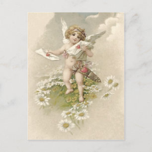 Cupid Cherub Angel Valentine Daisy Holiday Postcard