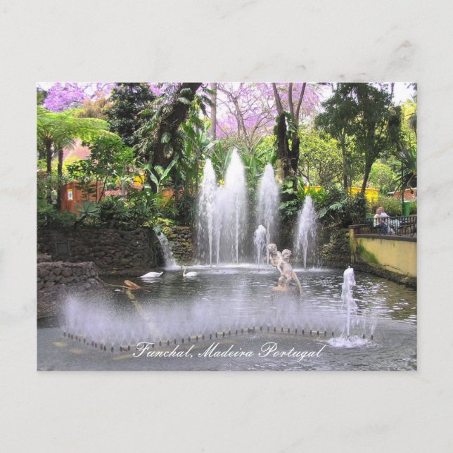 Cupids Water fountains Funchal, Madeira (Portugal) Postcard (Front)