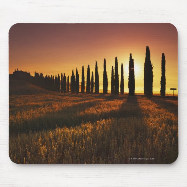 (cupressus sempervirens) - Europe, Italy, Mouse Pad (Front)