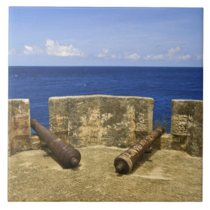 Curacao. Fort Beekenburg Caracas Bay. Tile