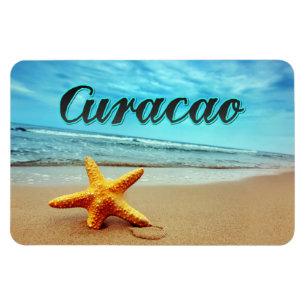 Curacao starfish magnet