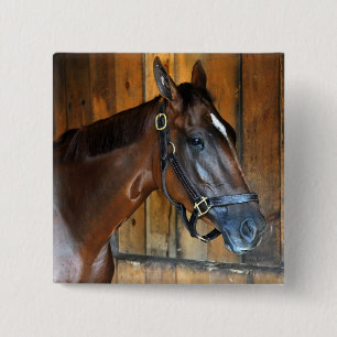 Curalina 2 Inch Square Button