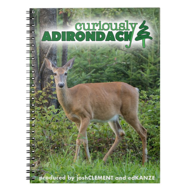 Curieusement carnet d'Adirondack (cerfs communs) (Devant)