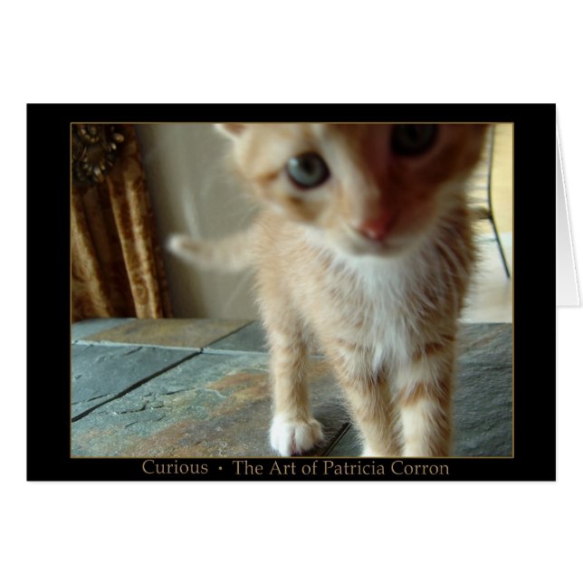 Curieux (Devant horizontal)