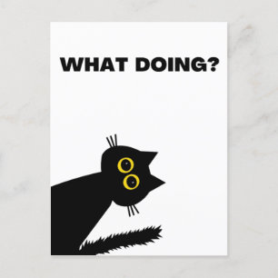 Curieux Black Cat carte postale