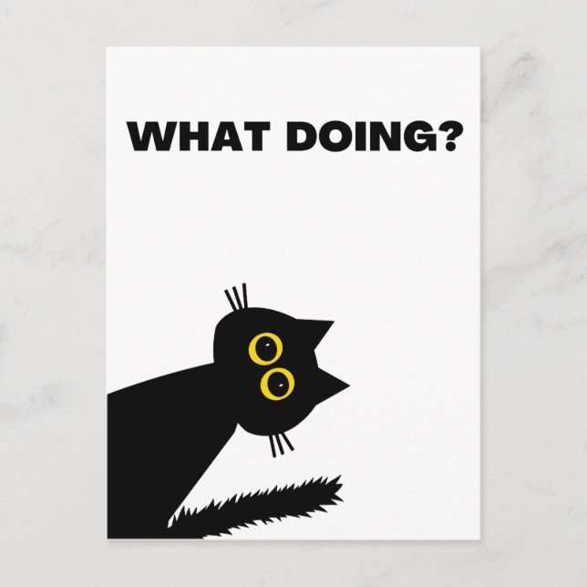 Curieux Black Cat carte postale (Devant)