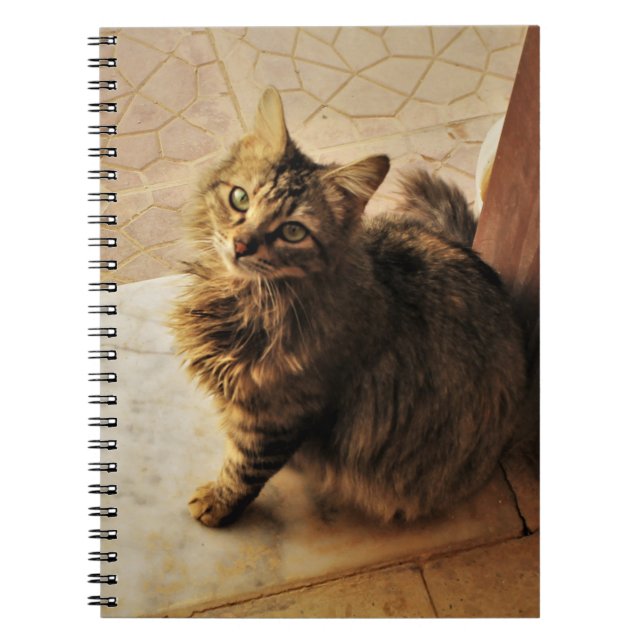 Curieux Carnet Kitty (Devant)