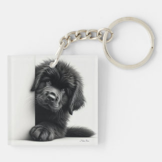 Curieux chiot Terre-Neuve noir qui regarde