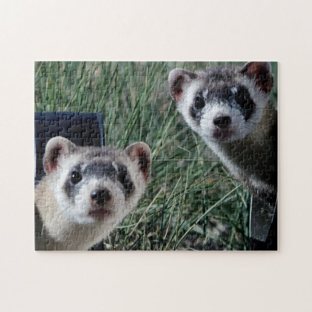 Curieux furets, Jigsaw Puzzle (Horizontal)