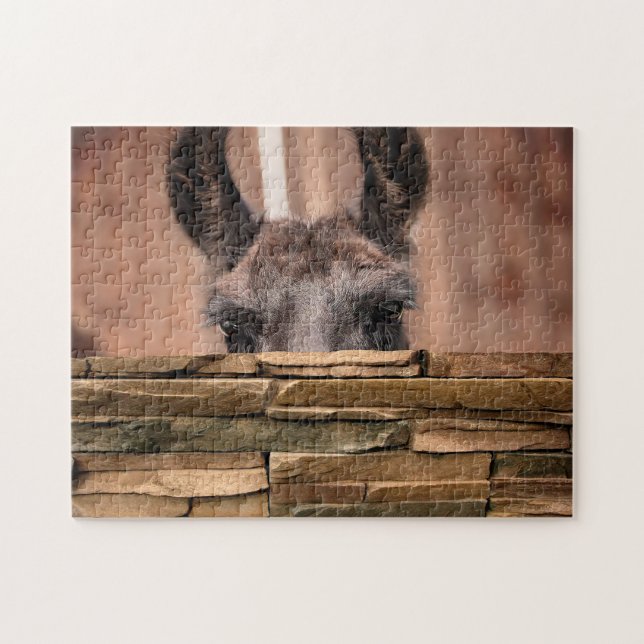 Curieux Llama, Puzzle (Horizontal)