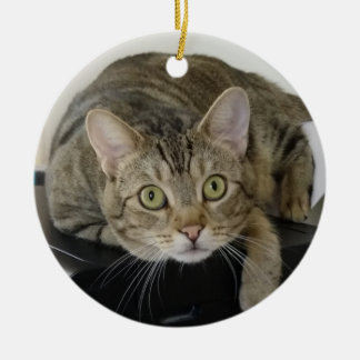 Curieux ornement de chat Tabby