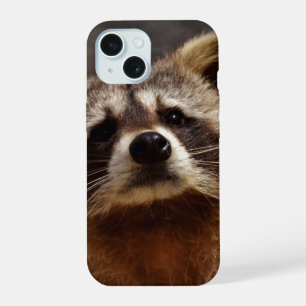 Curieux Photo Raccoon
