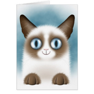 Curieux Siamese Kitten