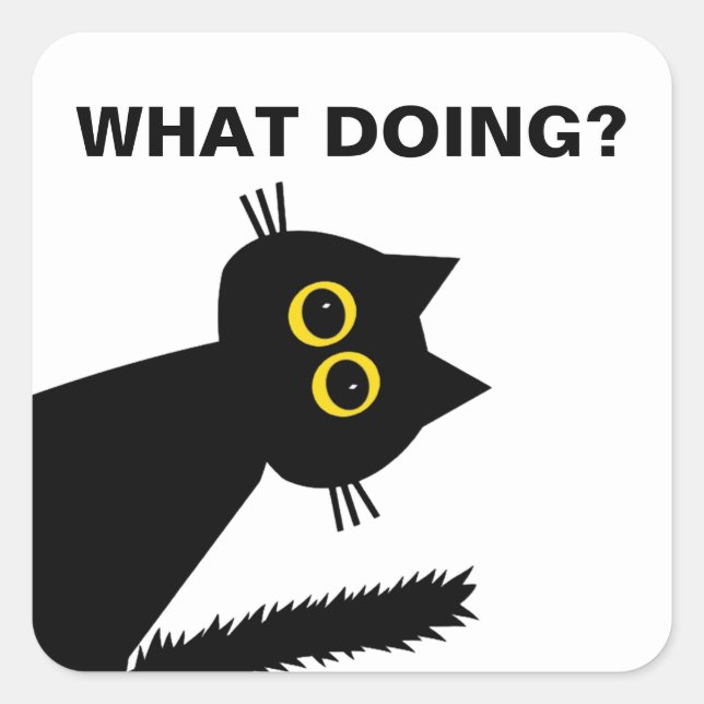 Curieux sticker Black Cat (Devant)