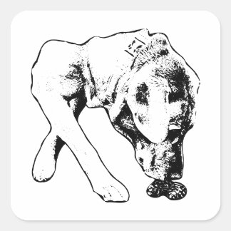 Curiosity Captured in Ink Square Sticker