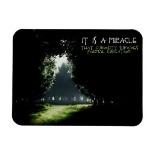 "Curiosity" Inspirational Quote Flexible Magnet