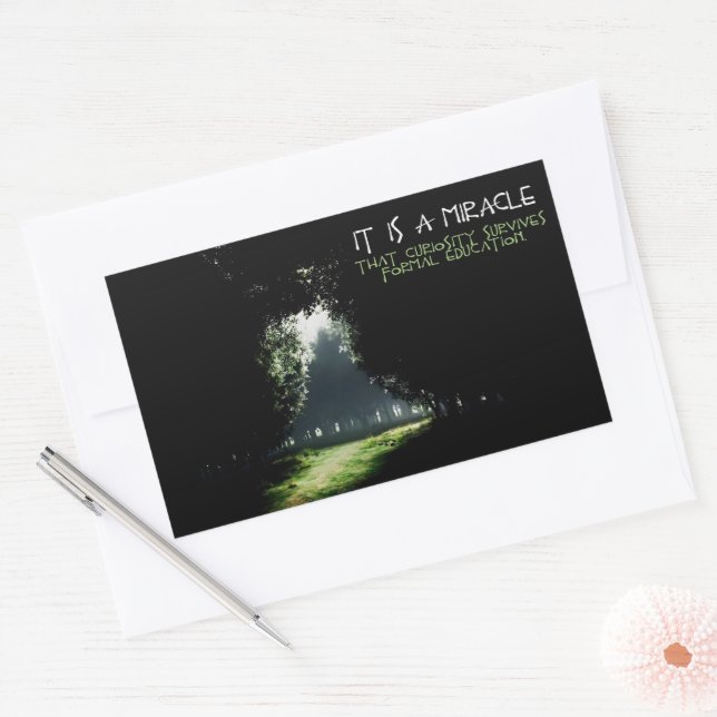 "Curiosity" Inspirational Quote Sticker (Envelope)