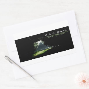 "Curiosity" Inspirational Quote Sticker