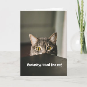 Curiosity Killed The Cat Card
