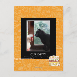 Curiosity Postcard