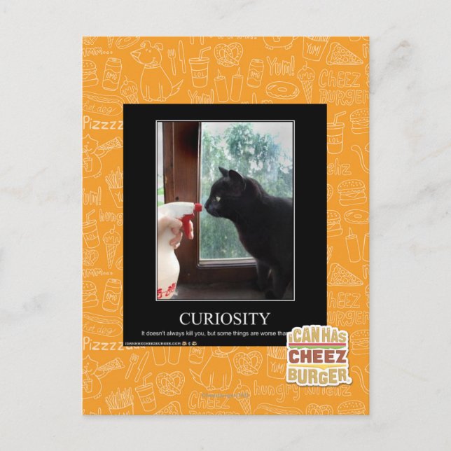 Curiosity Postcard (Front)
