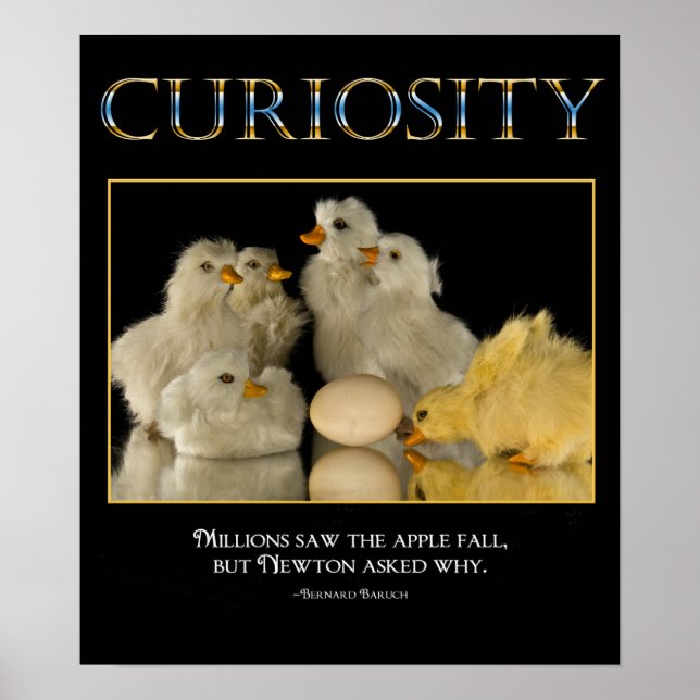CURIOSITY Poster (Front)