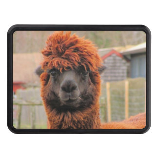 Curious Alpaca ~ Hitch cover