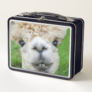 Curious Alpaca Photo  Metal Lunch Box