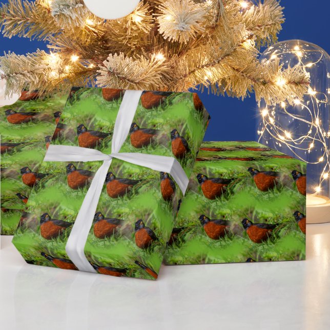 Curious American Robin Songbird in the Grass Wrapping Paper (Holidays)