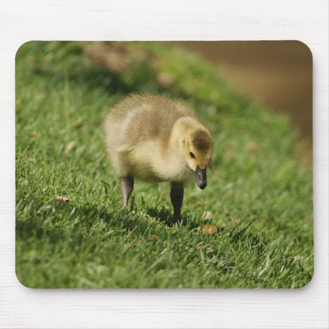 Curious Baby Goose and the Baby Mushroom Mousepad (Front)
