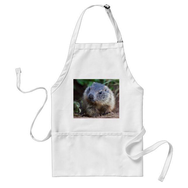 Curious Baby Marmot Apron (Front)