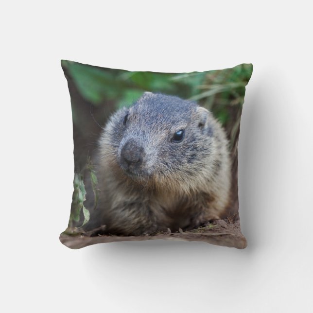 Curious Baby Marmot Pillow (Front)