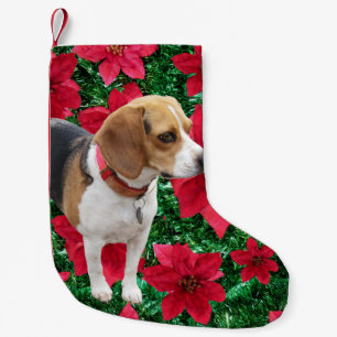 Curious Beagle Poinsettias Christmas Stocking
