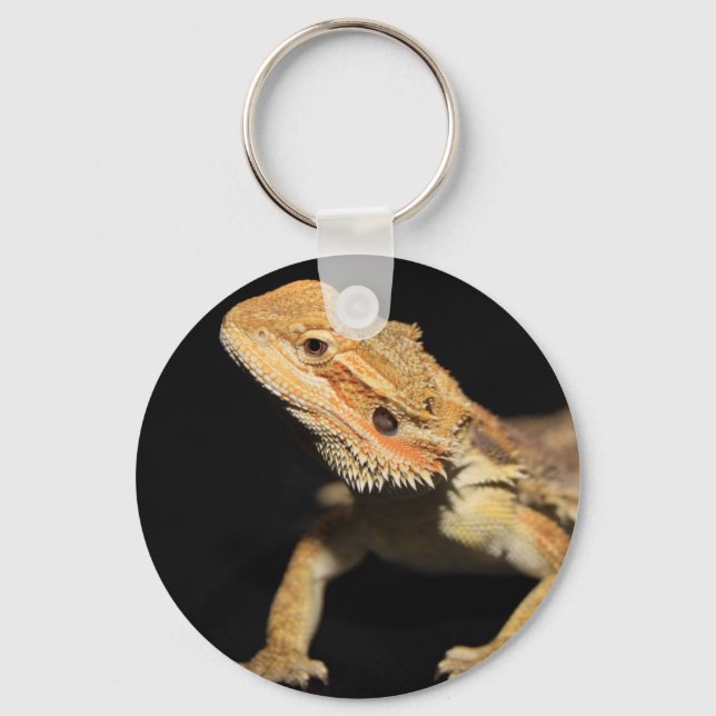 Curious Bearded Dragon 3 Keychain (Front)