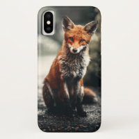 Curious Big Red and White Fox Sitting in Nature