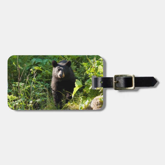 Curious Black Bear Luggage Tag (Front Horizontal)