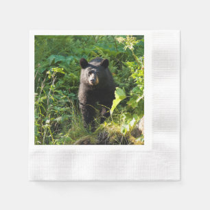 Curious Black Bear Napkin