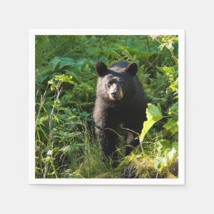 Curious Black Bear Napkin