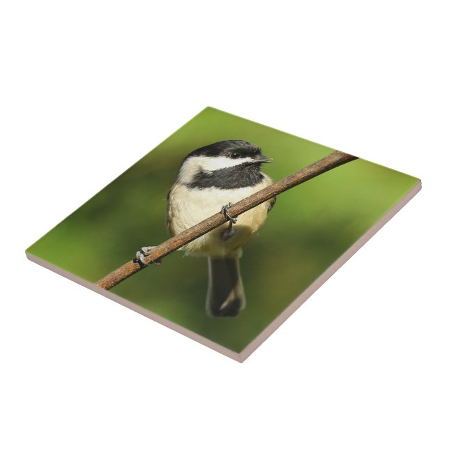 Curious Black-Capped Chickadee on the Grapevine Tile (Side)
