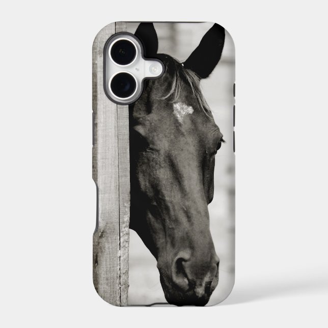 Curious Black Horse (Back)