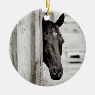 Curious Black Horse Ceramic Ornament