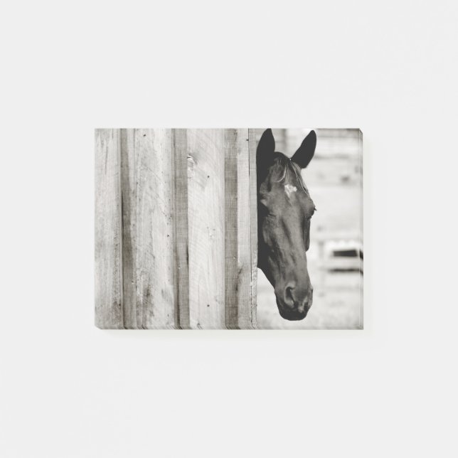 Curious Black Horse Post-it Notes (Front)