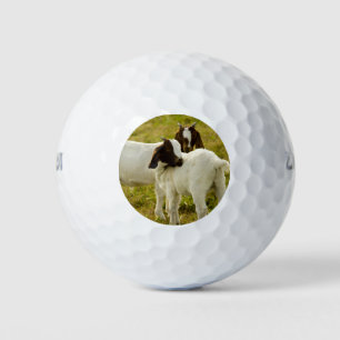 Curious Boer Goats in Sunny Pasture Farm Animal Golf Balls