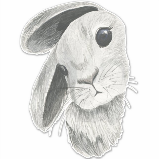 Curious Bunny Rabbit Baby Room Decor (Front)