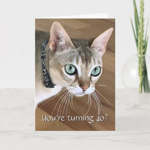 Curious Cat 40th Birthday Card