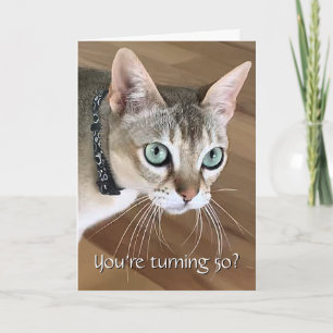 Curious Cat 50th Birthday Card